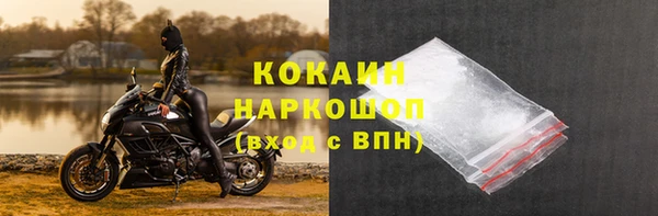 гашик Горно-Алтайск