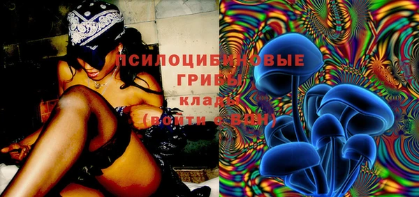 метадон Горняк