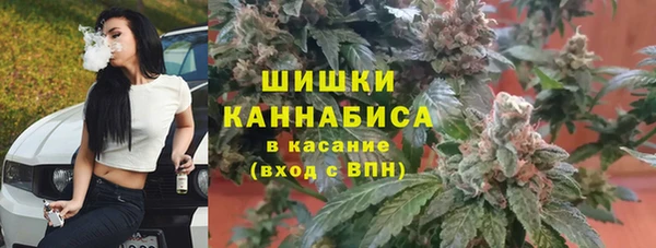 гашик Горно-Алтайск